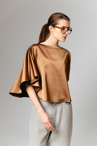LIO01PB_CAMEL_4